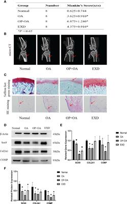 GCTOF-MS Combined LC-QTRAP-MS/MS Reveals Metabolic Difference Between Osteoarthritis and Osteoporotic Osteoarthritis and the Intervention Effect of Erxian Decoction